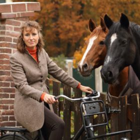 Systemische Paardencoaching (Basis 2)