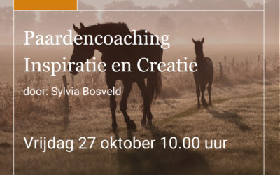 Webinar Paardencoaching Inspiratie en Creatie
