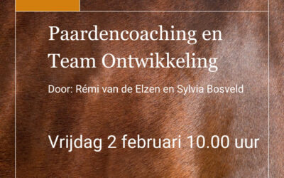 Webinar Paardencoaching & Team Ontwikkeling